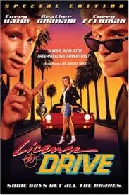Licencia Para Manejar (1988) poster